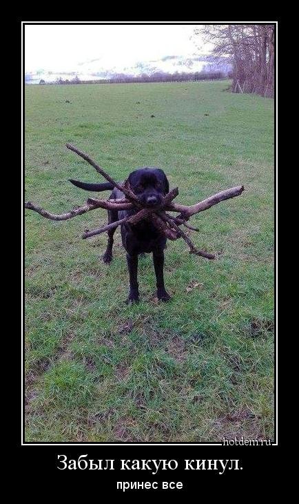 Свежие демотиваторы (22 шт) Свежие демотиваторы (22 шт)