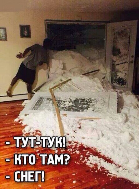 Прикольные фотомемы (23 шт) Прикольные фотомемы (23 шт)