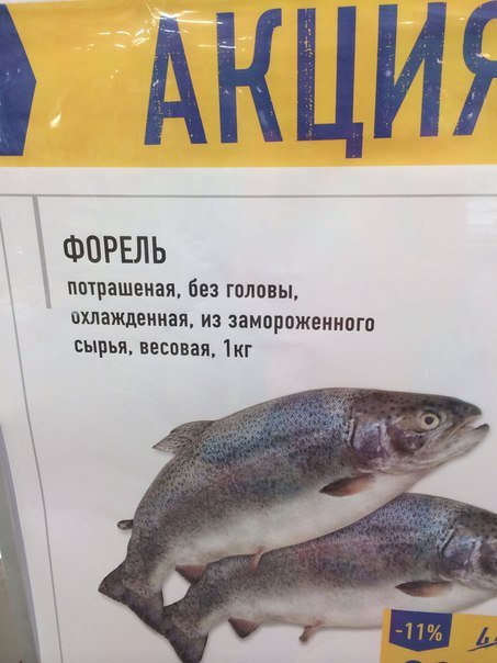 Смешные объявления, вывески и реклама (27 фото) Смешные объявления, вывески и реклама (27 фото)