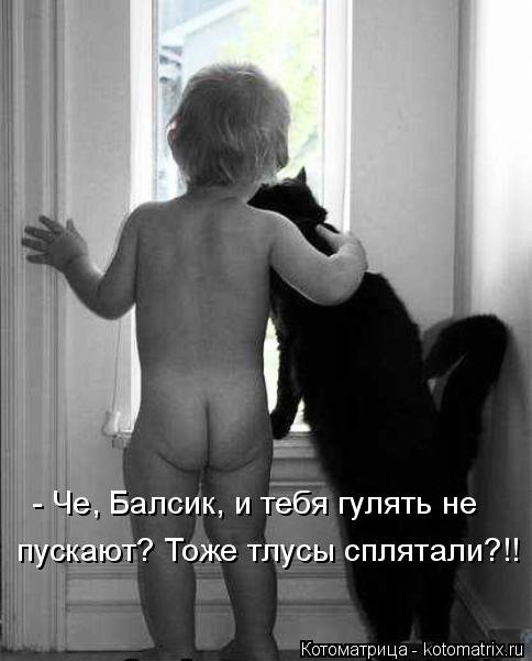 Новая котоматрица на Бугаге (36 фото) Новая котоматрица на Бугаге (36 фото)