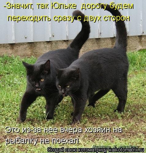 Новая котоматрица на Бугаге (36 фото) Новая котоматрица на Бугаге (36 фото)