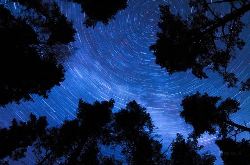 Ночное небо Финляндии через объектив Джони Ньемела (12 фото)