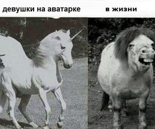 Прикольные картинки для вас (32 шт)