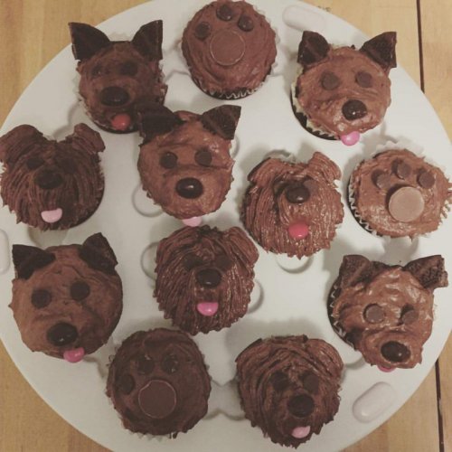 Прикольные картинки для вас (32 шт)