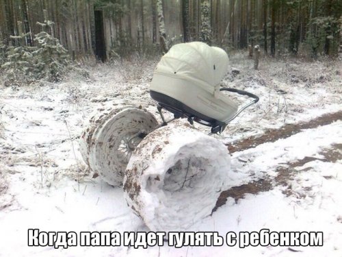 Прикольные картинки для вас (32 шт)