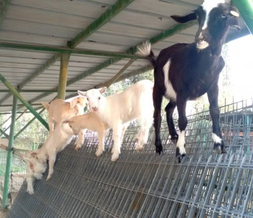 Прикольные картинки для вас (32 шт)