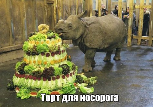 Прикольные картинки для вас (32 шт)