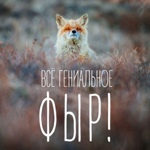 Прикольные картинки для вас (32 шт)