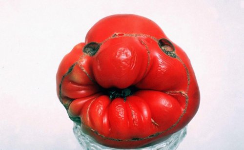 Овощи, не похожие сами на себя (17 фото)