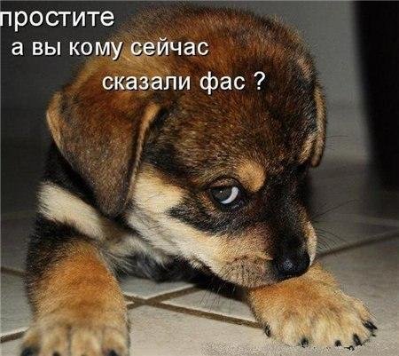 Прикольные фотомемы на Бугаге (33 шт) Прикольные фотомемы на Бугаге (33 шт)