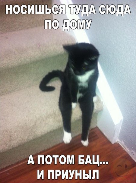 Прикольные фотомемы на Бугаге (33 шт) Прикольные фотомемы на Бугаге (33 шт)