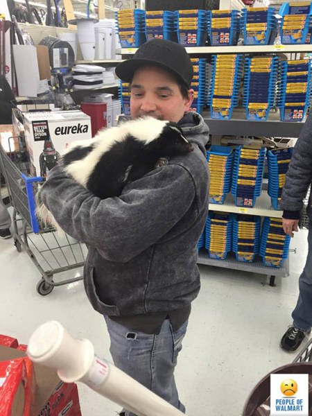 Чудаки и чудачества в Walmart (25 фото) Чудаки и чудачества в Walmart (25 фото)