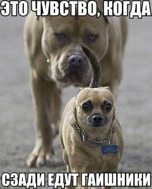 АВТОприколы на Бугаге (21 фото) АВТОприколы на Бугаге (21 фото)