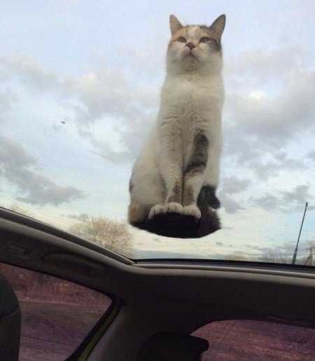 АВТОприколы на Бугаге (21 фото) АВТОприколы на Бугаге (21 фото)