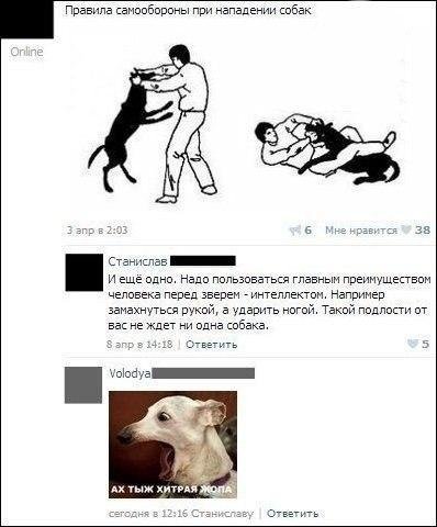 Прикольные комментарии и СМС-диалоги (31 фото) Прикольные комментарии и СМС-диалоги (31 фото)