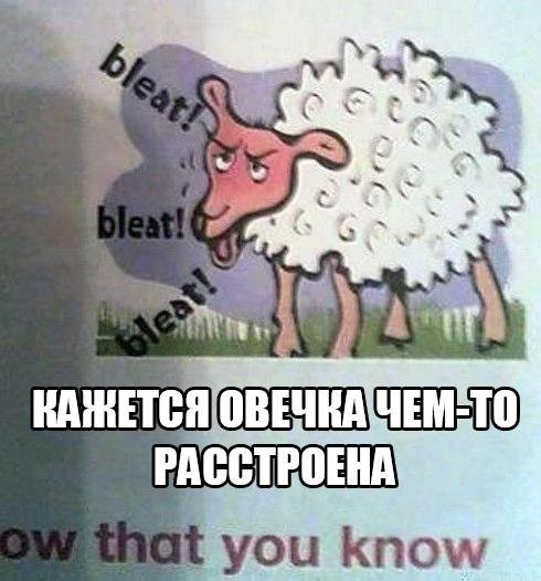 Прикольные фотомемы (29 шт) Прикольные фотомемы (29 шт)