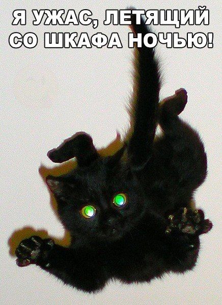 Прикольные картинки пятницы (50 шт) Прикольные картинки пятницы (50 шт)