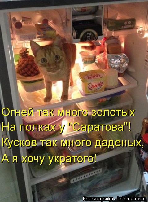 Свежая котоматрица (36 фото) Свежая котоматрица (36 фото)