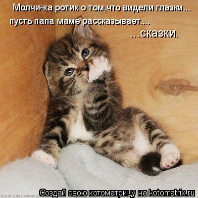 Свежая котоматрица (36 фото) Свежая котоматрица (36 фото)