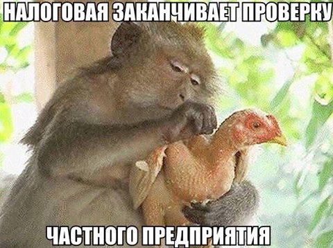 Прикольные картинки субботы (41 шт) Прикольные картинки субботы (41 шт)