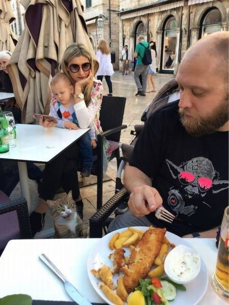 Прикольные картинки субботы (41 шт) Прикольные картинки субботы (41 шт)