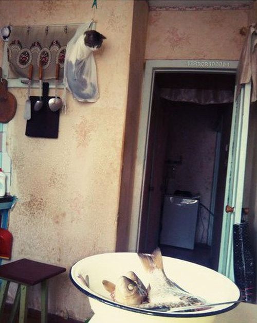 Прикольные картинки (34 шт) Прикольные картинки (34 шт)