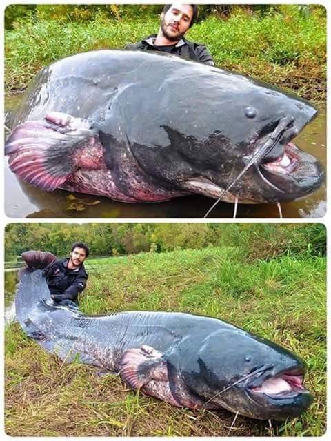 Странности в фотографиях (14 фото) Странности в фотографиях (14 фото)