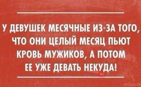 Прикольные картинки дня (49 шт) Прикольные картинки дня (49 шт)
