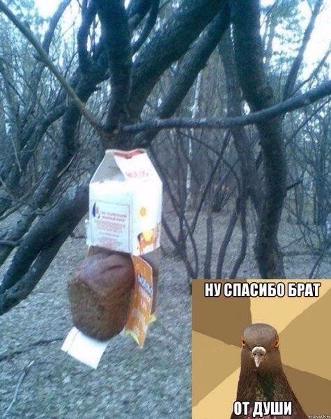 Смешные комментарии из соцсетей (32 фото) Смешные комментарии из соцсетей (32 фото)