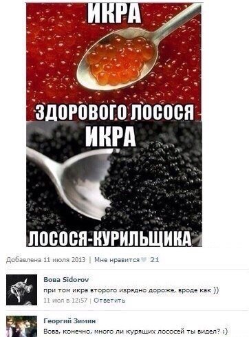 Смешные комментарии из соцсетей (32 фото) Смешные комментарии из соцсетей (32 фото)