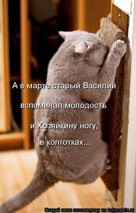 Отличная котоматрица на Бугаге (35 фото) Отличная котоматрица на Бугаге (35 фото)