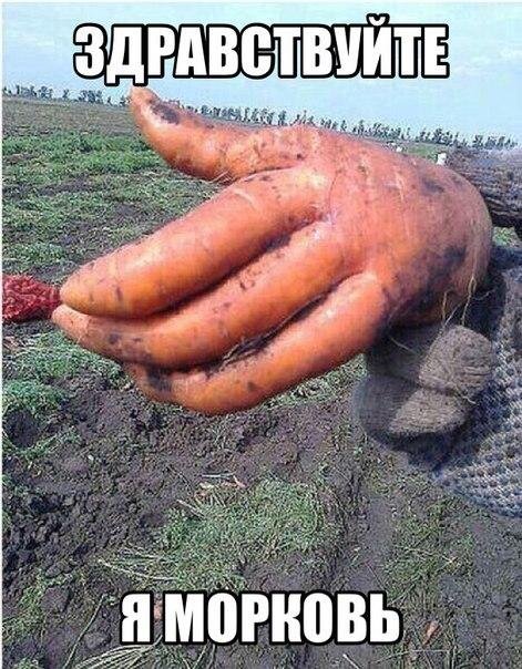 Прикольные фотомемы для всех и каждого (26 фото) Прикольные фотомемы для всех и каждого (26 фото)