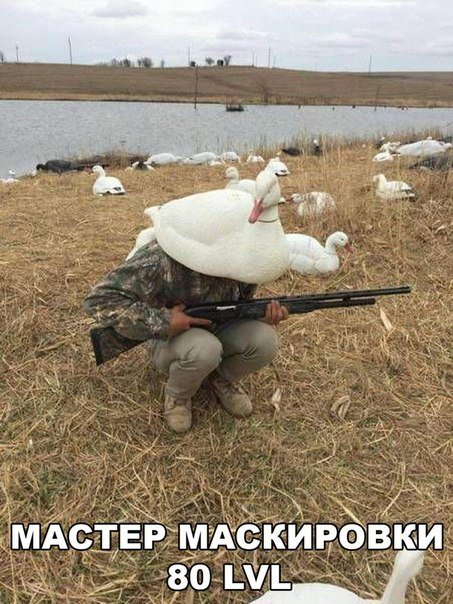 Прикольные фотомемы для всех и каждого (26 фото) Прикольные фотомемы для всех и каждого (26 фото)