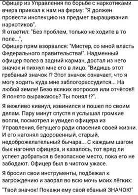 Свежие прикольные картинки для вас (37 шт) Свежие прикольные картинки для вас (37 шт)