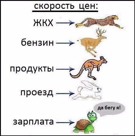 Новые комиксы и карикатуры (19 шт) Новые комиксы и карикатуры (19 шт)