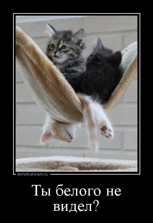 Демотиваторы-приколы (21 фото) Демотиваторы-приколы (21 фото)