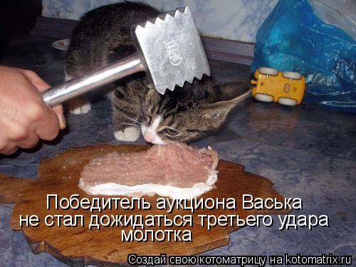 Новая котоматрица на Бугаге (38 фото) Новая котоматрица на Бугаге (38 фото)