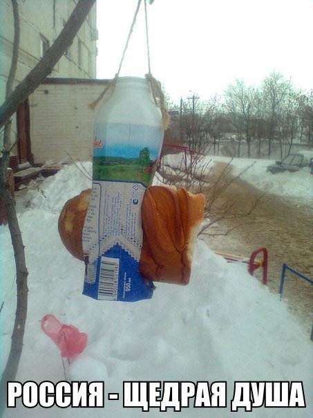 Прикольные фотомемы для всех (29 шт) Прикольные фотомемы для всех (29 шт)