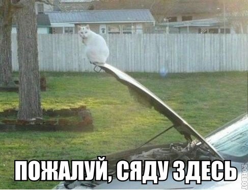 Прикольные фотомемы для всех (29 шт) Прикольные фотомемы для всех (29 шт)