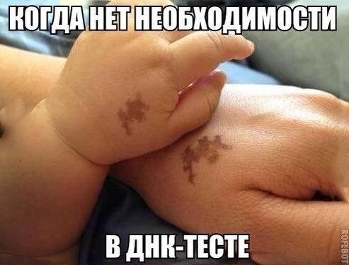 Новые прикольные фотомемы, которые вызовут улыбку (27 шт) Новые прикольные фотомемы, которые вызовут улыбку (27 шт)