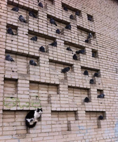 Это Россия, детка! (22 фото) Это Россия, детка! (22 фото)