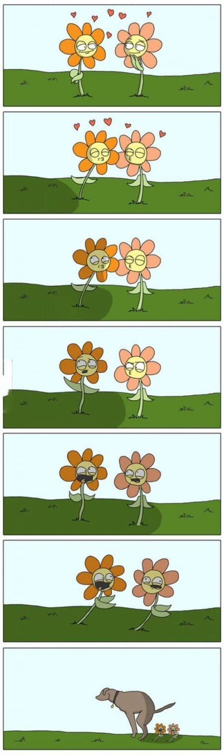 Комиксы с чёрным юмором (14 шт) Комиксы с чёрным юмором (14 шт)