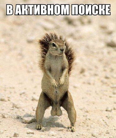 Отличные фотомемы на Бугаге (33 шт) Отличные фотомемы на Бугаге (33 шт)