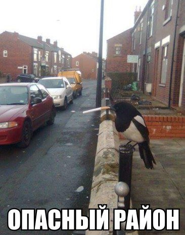 Отличные фотомемы на Бугаге (33 шт) Отличные фотомемы на Бугаге (33 шт)