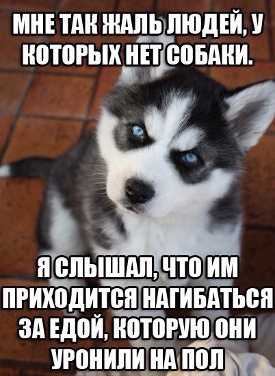 Отличные фотомемы на Бугаге (33 шт) Отличные фотомемы на Бугаге (33 шт)