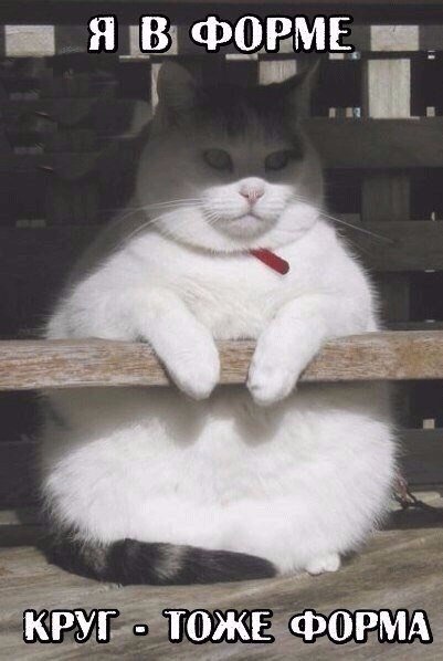 Отличные фотомемы на Бугаге (33 шт) Отличные фотомемы на Бугаге (33 шт)