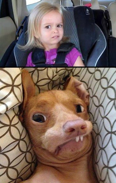 Свежие прикольные картинки (48 шт) Свежие прикольные картинки (48 шт)