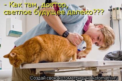 Новая котоматрица для всех (38 фото) Новая котоматрица для всех (38 фото)