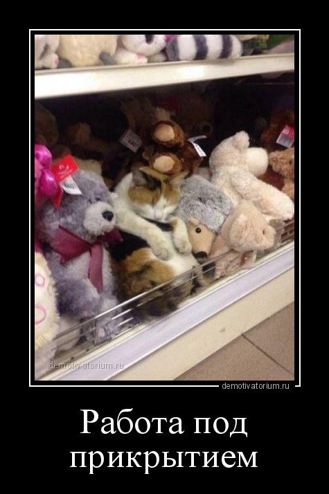 Новые демотиваторы (17 шт) Новые демотиваторы (17 шт)