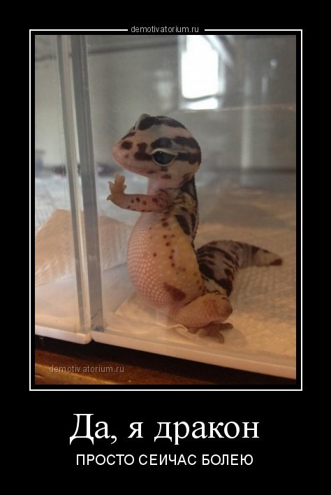 Новые демотиваторы (17 шт) Новые демотиваторы (17 шт)